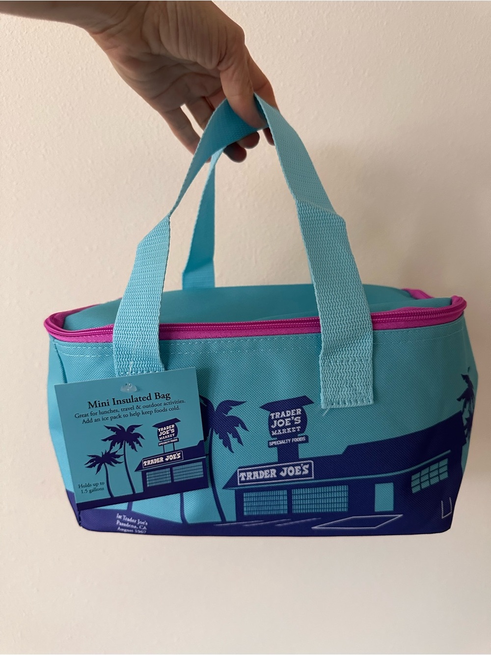 NWT Trader Joe's Mini Insulated Tote - Teal & Purple